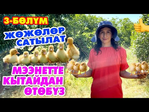 Видео: ОШ: ЖӨЖӨЛӨРДҮ ДҮҢҮНӨ САТКАН ЭЖЕ || Баары сатылат || Сизда БАШТАҢЫЗ~Номер ОПИСАНИЯДА👇