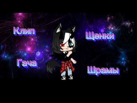 Видео: Клип. Щенки шрамы