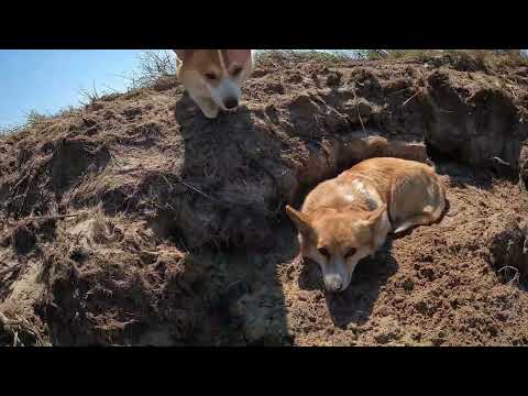 Видео: Открытие сезона 2024. Ловля аухи на амуре