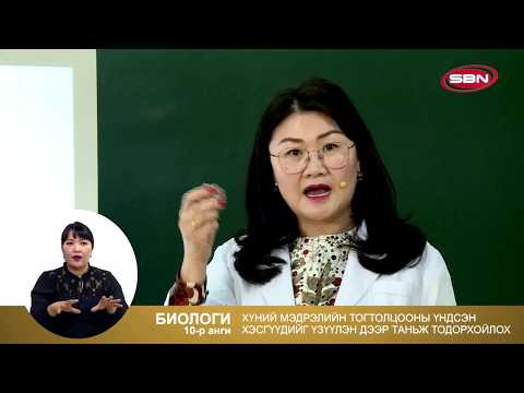 Видео: 2 сарын 5-ны Лхагва гарагийн "10-р ангийн хичээлүүд: Биологи, Физик, Англи хэл, Мэдээллийн технологи