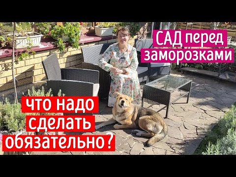 Видео: СРОЧНО ДЕЛАЕМ ЭТО ПЕРЕД ЗАМОРОЗКАМИ и ПОСЛЕ! Готовим растения к зиме!