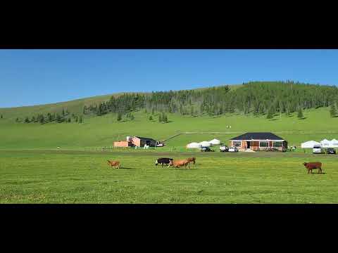Видео: Өвөрхангай аймгийн БАТӨЛЗИЙ сум Төвхөн хийдийн өвөр хормойд  саатан тухлаад сайхан гоёхондоо..
