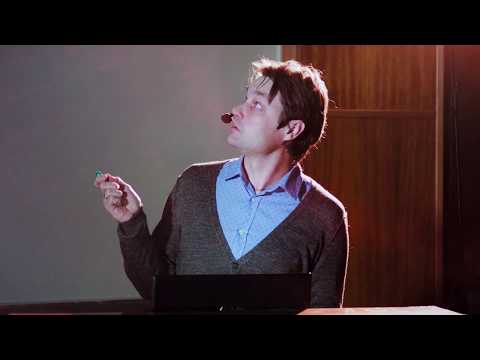 Видео: Никита Зеленков. Происхождение и ранняя эволюция птиц