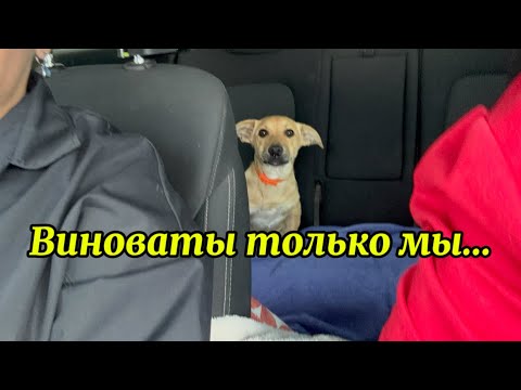 Видео: 1822❤️Всё нужно делать вовремя