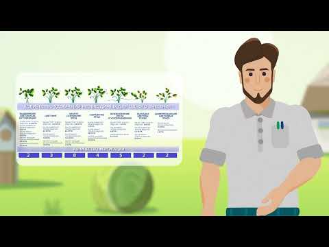 Видео: Типовые схемы питания плодово-ягодных культур на фертигации