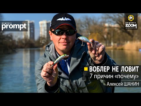 Видео: Воблер не ловит. 7 причин «почему»  Алексей Шанин. Anglers Prompt