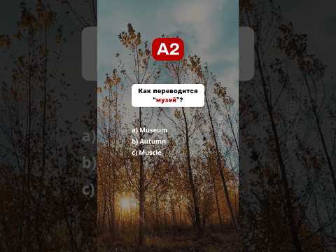 Видео: 🇺🇸 Тест на знания Английского - A2 #english