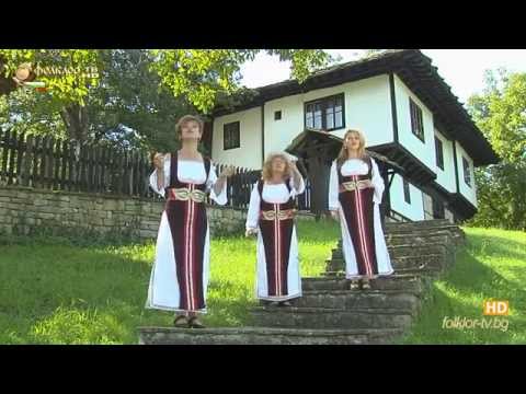 Видео: ''На хорото'' -   трио ''Звън'' - Боженци - 2014 г.