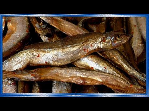 Видео: Мойва вяленая, специального посола, по Китайскому рецепту, рецепты из рыбы от fisherman dv 27rus