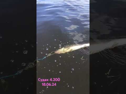 Видео: 18 июня 2024 г.