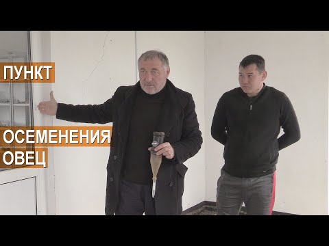 Видео: Как устроен пункт искусственного осеменения. Селекционно-генетический центр ООО Волгоград-Эдильбай