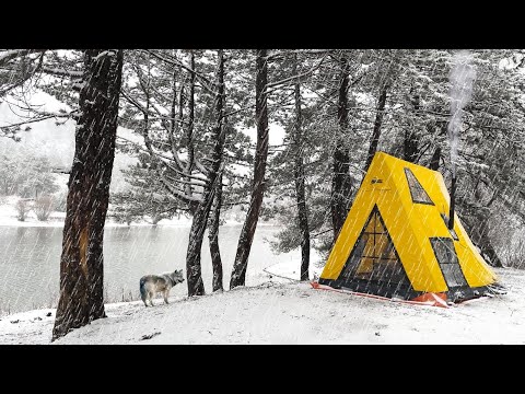 Видео: 4 дня одиночного кемпинга в условиях сильного снегопада — расслабляющий кемпинг в районе Сноуфолл