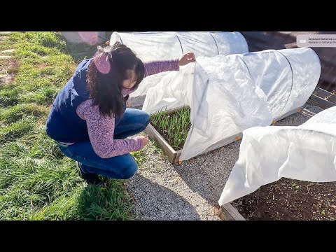 Видео: Какви са ни плановете за градината?