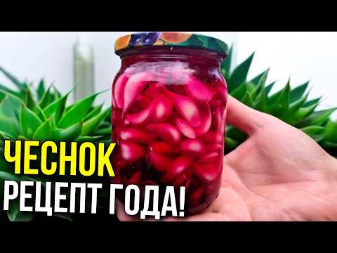 Видео: Все ЧЕСНОК МАРИНУЮТ — А Я ФЕРМЕНТИРУЮ! Без УКСУСА, без САХАРА!