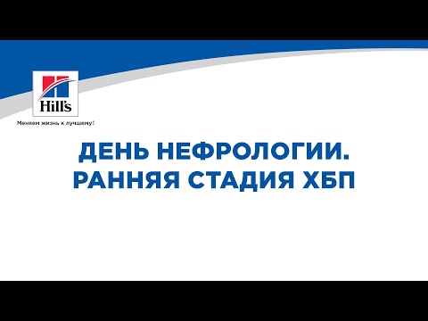 Видео: День ветеринарной нефрологии. Ранняя стадия ХБП.