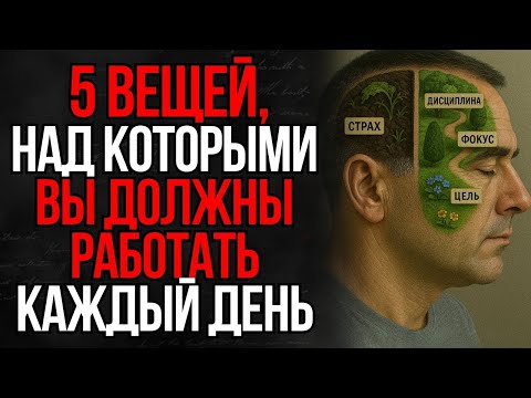Видео: 5 Вещей, На Которых Нужно Сосредотачиваться Каждый День, Чтобы Изменить Себя _ Стоицизм