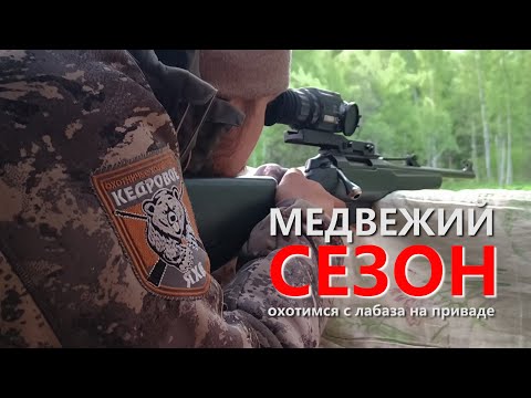 Видео: МЕДВЕЖИЙ СЕЗОН. ОХОТА С ЛАБАЗА НА ПРИВАДЕ. ХОЗЯЕВА ТАЙГИ.