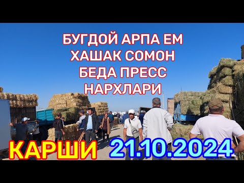 Видео: 21.10.2024 БУГДОЙ АРПА МАККА ЕМ ХАШАК СОМОН ТАРИХ БЕДА ПРЕСС НАРХЛАРИ КАРШИ КАРВОН МОЛ БОЗОРИДА