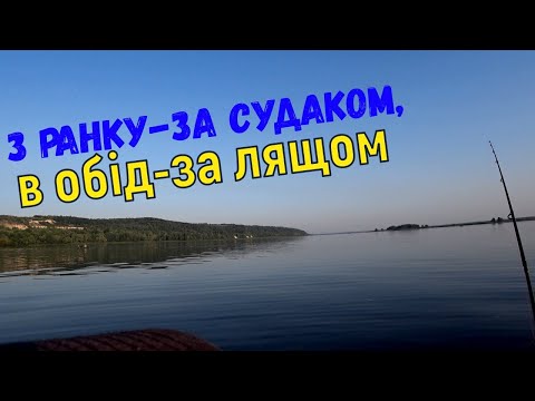 Видео: з ранку судака, в обід ляща #риболовля2025 #судак#лящ