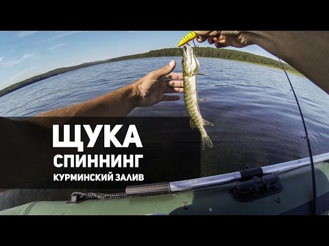 Видео: Ловля щуки в Курминском заливе. Иркутск. Челюсти - 2016. Спиннинг. Джиг.