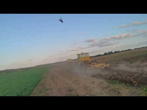 Видео: кировец К701