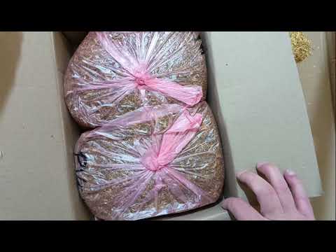 Видео: Табак Италия премиум-средне легк.И Вирджиния ГОЛД (Индонезия) обзор табака 2025