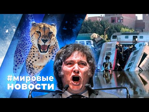 Видео: МИРОВЫЕ НОВОСТИ – 14 октября 2024