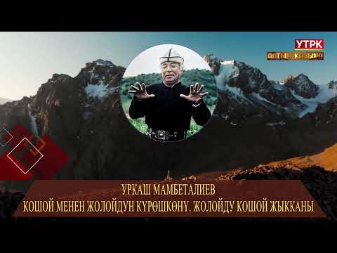 Видео: Кошой менен Жолойдун күрөшкөнү. Жолойду Кошой жыкканы