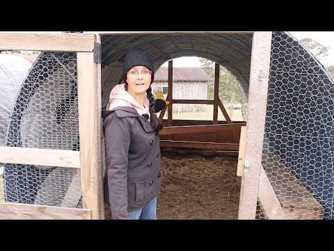 Видео: В HOOP COOPS просто СЛИШКОМ ХОЛОДНО!