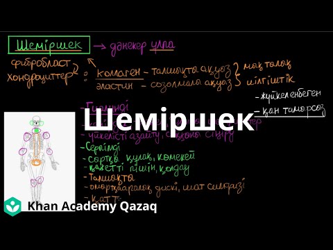 Видео: Шеміршек | Қазақ Хан Академия