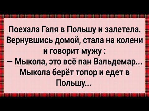 Видео: Как Галя в Польше Залетела! Сборник Свежих анекдотов! Юмор!
