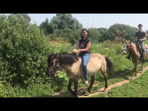 Видео: Аванпост