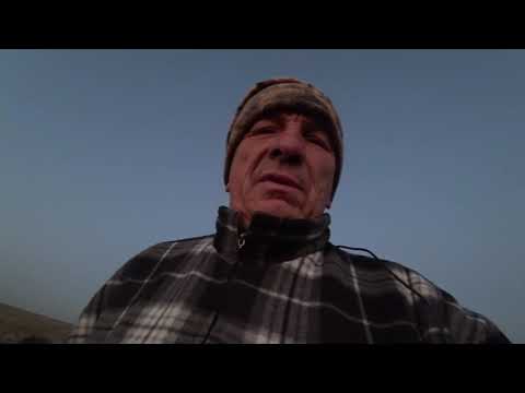 Видео: Охота на Огаря на поле 2020 г