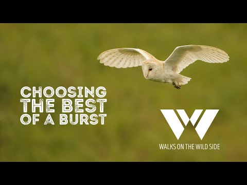 Видео: Выбор идеального снимка из серии фотографий