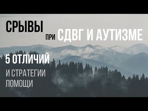 Видео: Мелтдаун (нервные срывы) при СДВГ и аутизме | Отличия и лайфхаки