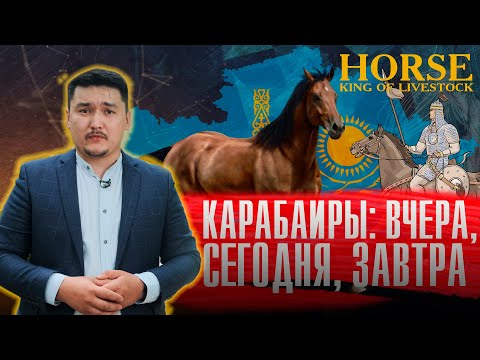 Видео: Какими качествами обладает казахский конь? «Жылқы – малдың патшасы». 3-серия