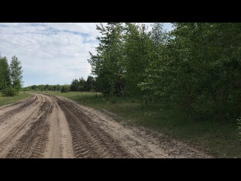 Видео: Путешествуем по родным местам с Лисёнком 🛵🦊