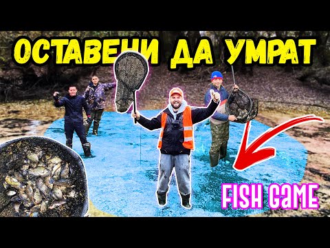 Видео: 209 РИБИ СПАСЕНИ!!! НАМЕРИХМЕ НОВ ВИД РИБА в пресъхващата локва на остров в река Дунав