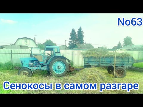 Видео: КОСЬБА, УБОРКА СЕНА, НАЧАЛО СЕЗОНА СЕНОКОСОВ