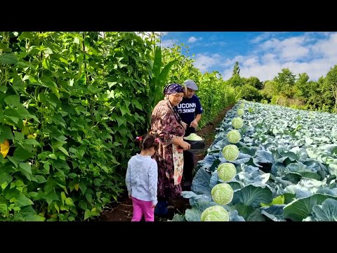 Видео: Полное Видео. Жизнь в Азербайджанской Деревне. 1 Час Лучших Деревенских Рецептов.