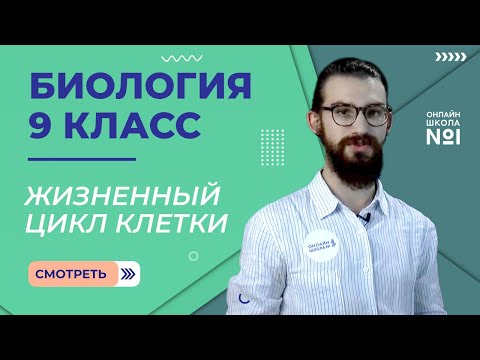 Видео: Жизненный цикл клетки. Митоз. Видеоурок 14. Биология 9 класс