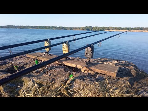 Видео: ЗА ВЕЛИКОЮ РИБОЮ НА ДНІПРОВСЬКІ ПЛАВНІ. Рибалка на сазана