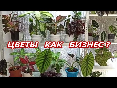 Видео: ЦВЕТЫ как БИЗНЕС 🌺 ИТОГИ ЧЕТЫРЕХ ЛЕТ ✅ Стоит ли начинать⁉️