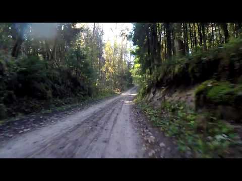 Видео: Чёрная Речка  - Невская Дубровка. Осенняя дорога через лес