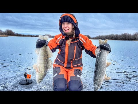 Видео: ОНА РЕАЛЬНО ДУБАСИТ!!! ТАКАЯ РЫБАЛКА У НЕЕ ВПЕРВЫЕ! Зимняя рыбалка 2025.