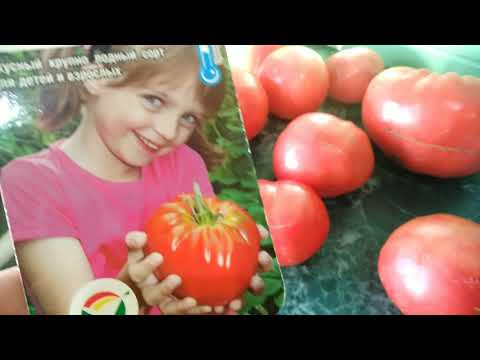 Видео: Эти томаты 🍅выдали поразительный результат💯Вес, разрез👍Точно посажу в 2021году📌