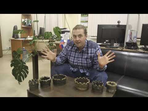 Видео: 12  Коронки 1