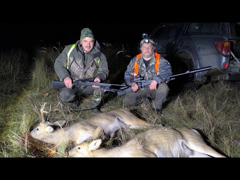 Видео: Охота на Косулю 2025