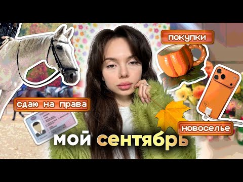 Видео: влог: я сдала на права?! 😭🚗 покупки, новоселье teslond & barashik 🎉 сборы на отдых 🧳☀️
