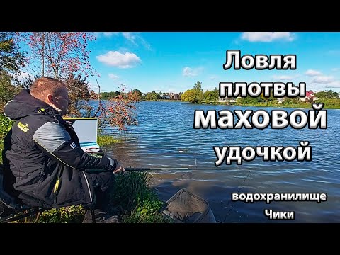 Видео: Ловля плотвы на маховую удочку.Маховая удочка для начинающих. Водохранилище Чики.